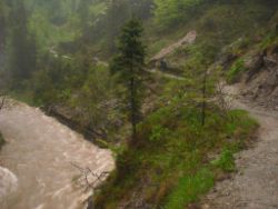 2013-06-01_Regina-F-Rau_Staffelalm_Hochwasser (173).JPG